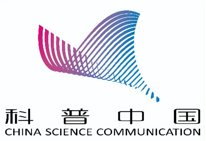 研究总结
