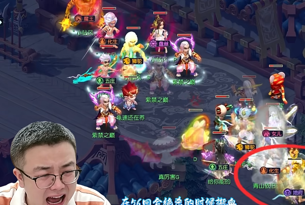 宝哥直播回应